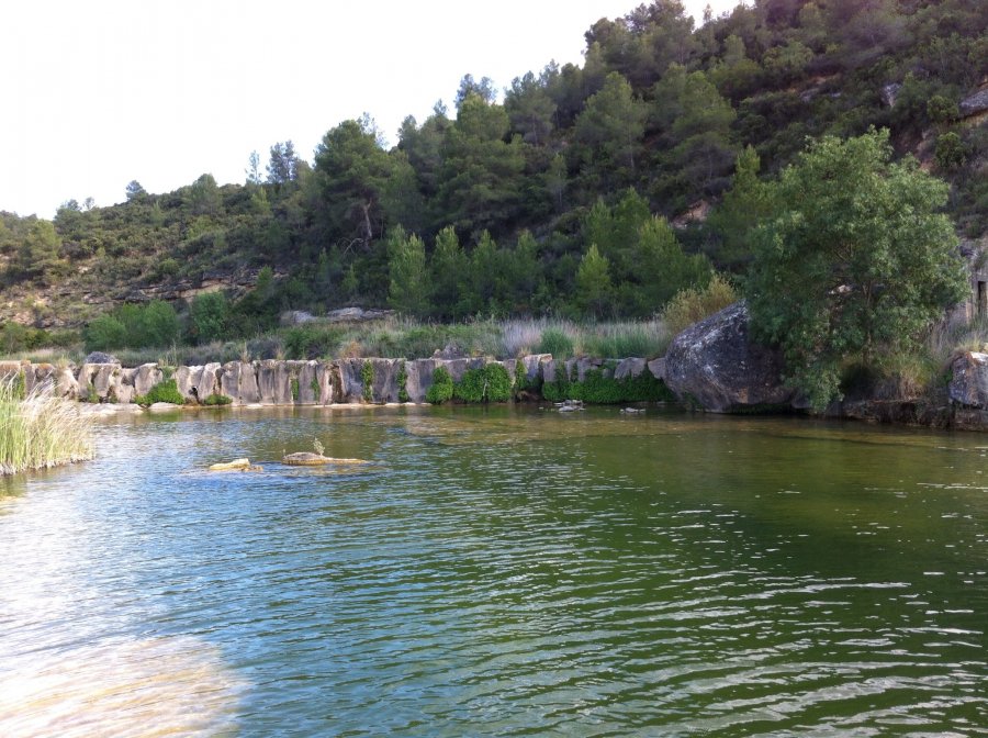 900900 0 2456692 2400