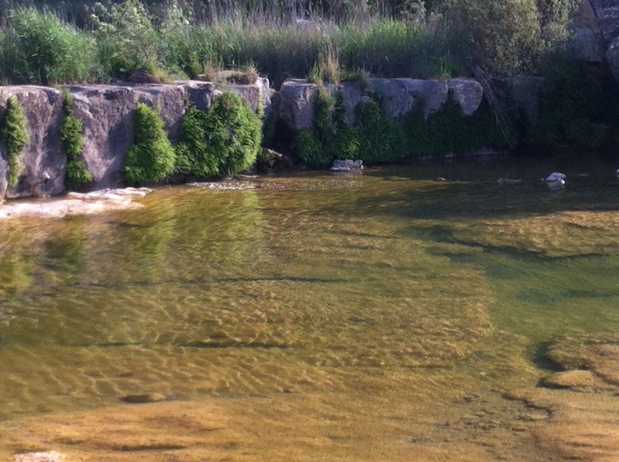 900900 0 2456693 2400