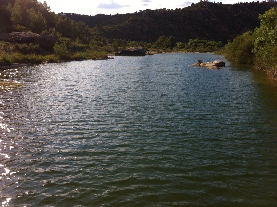 900900 0 2456698 2400