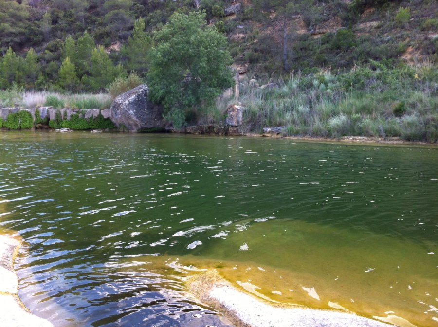 900900 0 2456699 2400