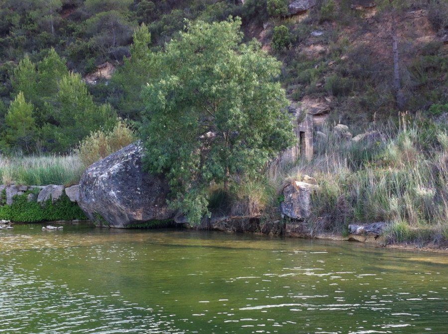 900900 0 2456702 2400