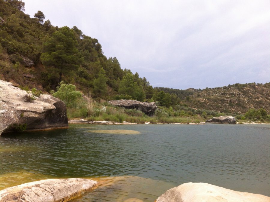 900900 0 2456704 2400